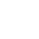 Emerging Companies